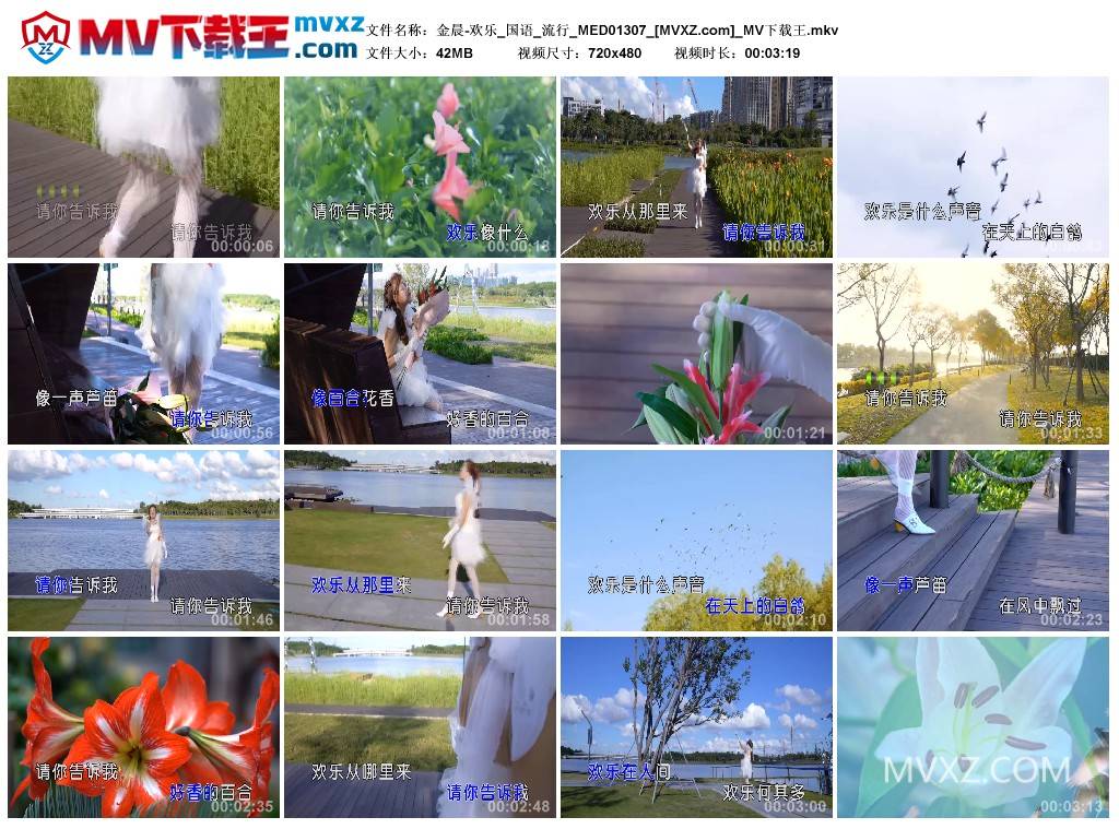 金晨-欢乐_国语_流行_MED01307